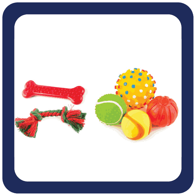 Pet Toys - More